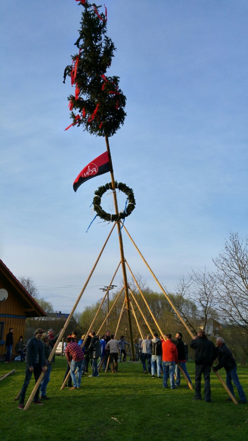 Foto: Martin Zehrer - Es muss darauf geachtet werden, dass immer nur ein Stangenpaar nachgesetzt wird wärend die anderen den Baum abstützen... 