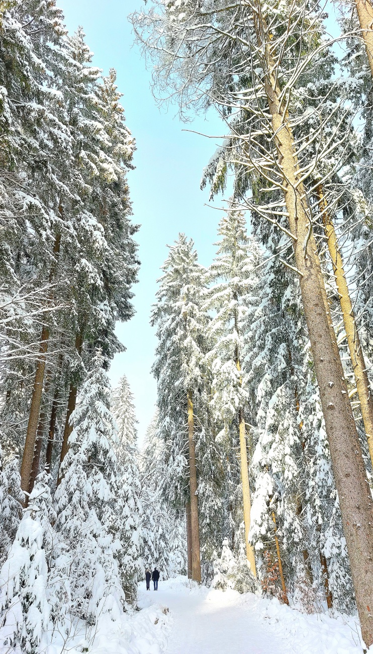 Foto: Martin Zehrer - Herrliches Winterwetter am Fichtelsee... 