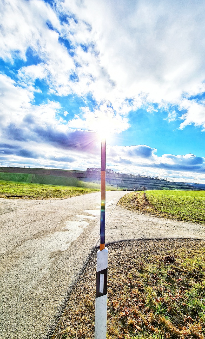 Foto: Jennifer Müller - Sonne am Stiel ;-)<br />
Ein herrlicher Spaziergang am 31.12.2021 