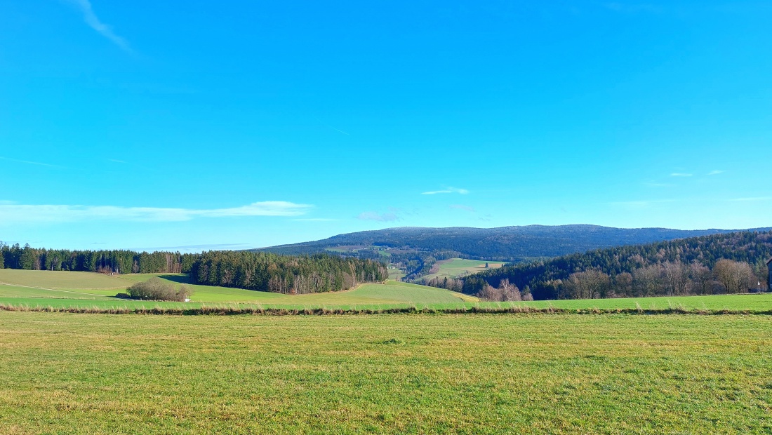 Foto: Martin Zehrer - Der Blick zum Steinwald rüber... 