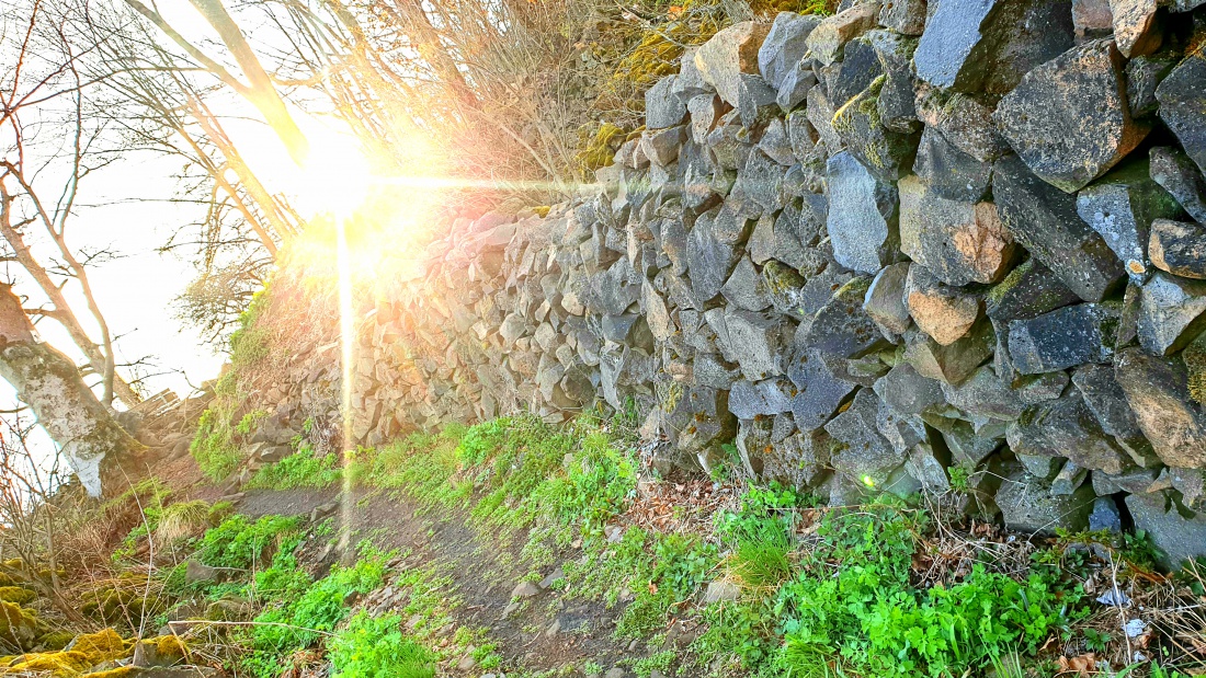 Foto: Martin Zehrer - Eine Mauer auf dem Rauhen-Kulm, die im Zuge der interessanten Ausgrabungen errichtet wurde.<br />
Die Abendsonne durchflutet die Baumkronen und sorgt für eine wundervolle Stim 
