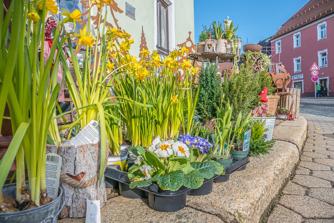 Foto: Martin Zehrer - Altstadtladl in Kemnath: Frühlings-Gefühle am Gehsteig...  