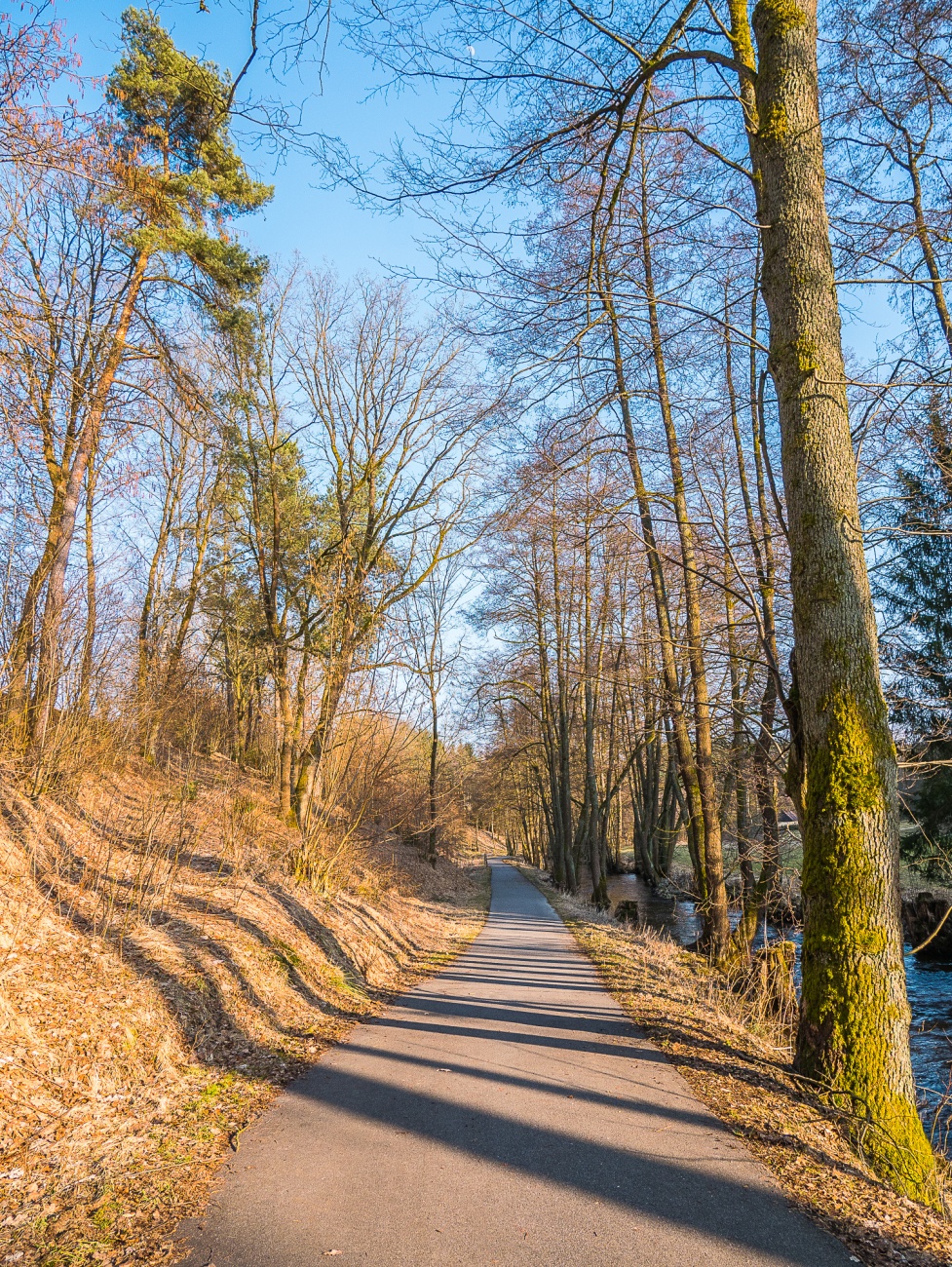 Foto: Martin Zehrer - Radtour mit dem E-Bike von Kemnath über Neusteinreuth nach Godas hoch, Trevesen, Kautzenhof und über den Radweg an der Naab wieder zurück.  