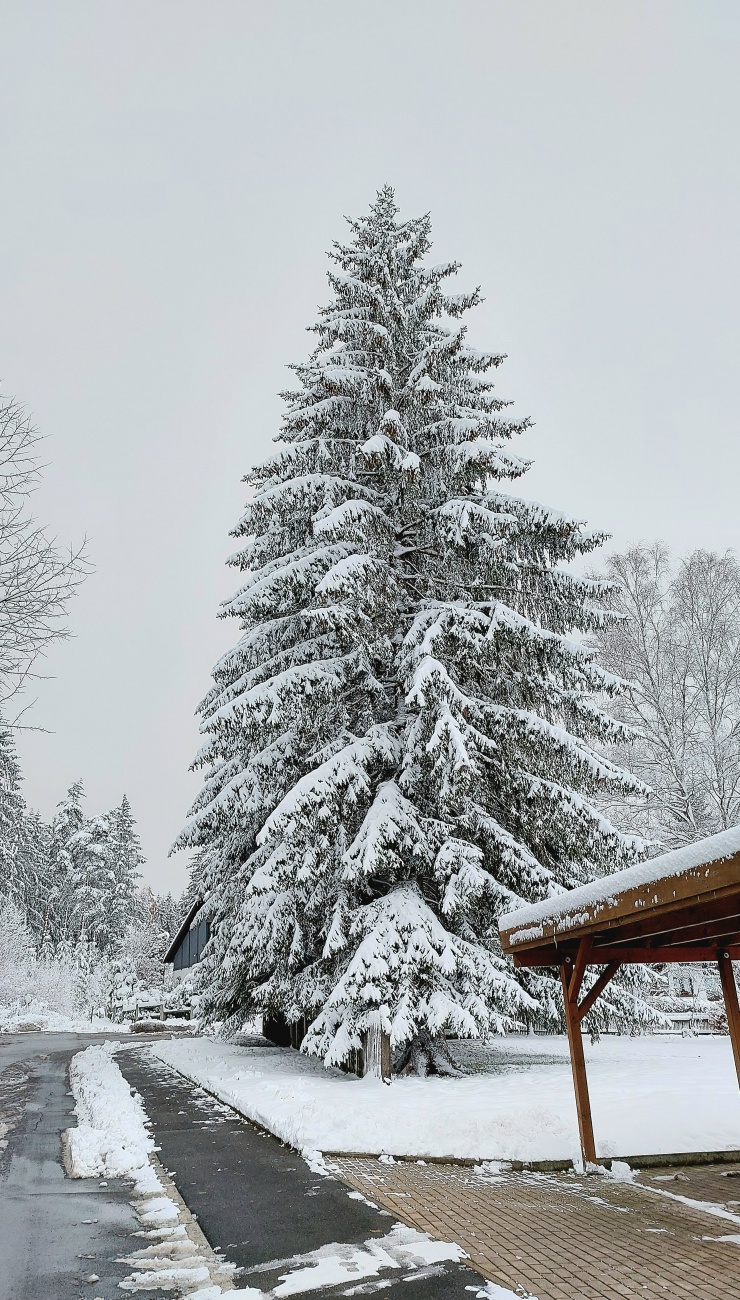 Foto: Martin Zehrer - Winter in Neusorg... 