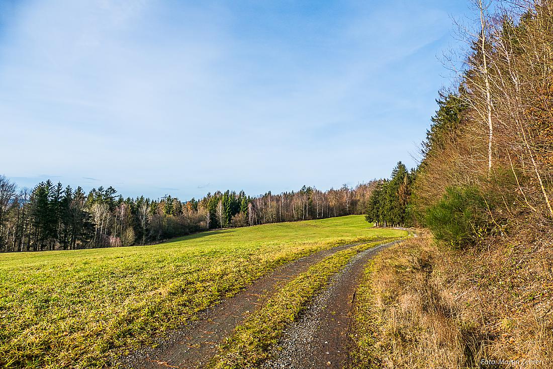 Foto: Martin Zehrer - Godaser Land...<br />
<br />
Phantastischer Rundgang im Paradies (Godas):<br />
Heute ist der 16.12.2019 und es liegt, ob manns glauben möchte oder nicht, bereits Frühlingsstimmung in d 