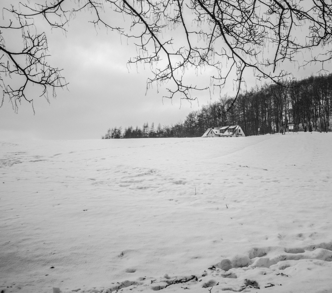 Foto: Martin Zehrer - 11. Februar 2019 - Schnee auf dem Armesberg und das Mesnerhaus... 