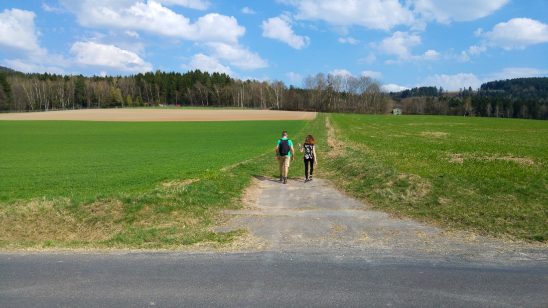 Foto: Martin Zehrer - Zwischen Altensteinreuth und Neusteinreuth über die Strasse drüber und dann gerade weiter bis zum Wasserhäuschen am Weg nach Godas hoch... 
