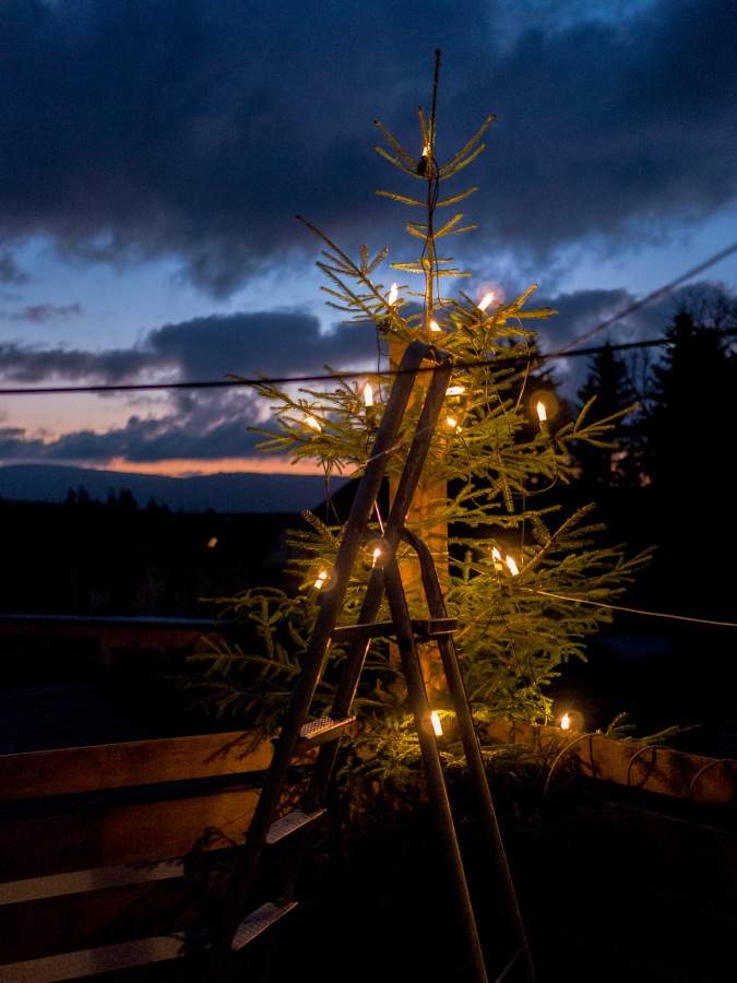 Foto: Martin Zehrer - Weihnachtsbaum aufgestellt 