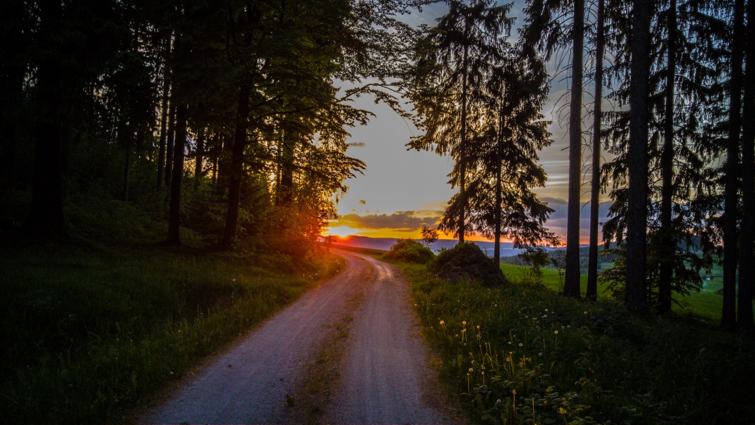 Foto: Martin Zehrer - Blick aus dem Zissler-Wald, oberhalb von Godas, in Richtung Sonnenuntergang... Herrliches Gefühl! 