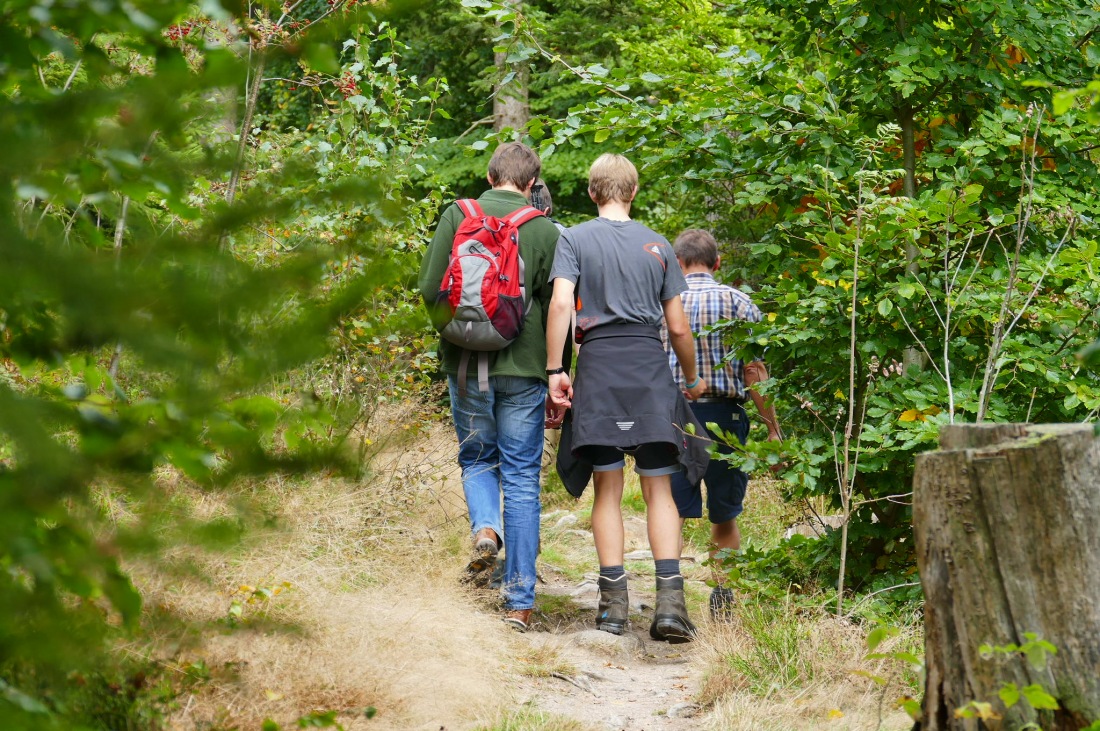 Foto: Martin Zehrer - Wandern im Steinwald<br />
<br />
Auf kleinen Pfaden quer durch den Steinwald... 