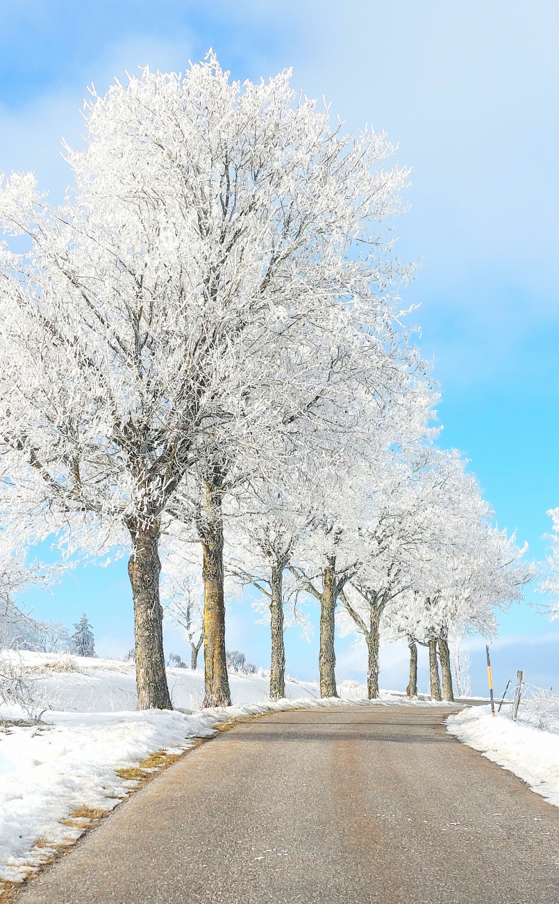 Winter-Landschaft auf dem Armesberg...

Herrliches Wetter, windig, die Sonne scheint vermehrt über die herrliche Schnee-Landschaft.
Und oben, auf dem Armesberg hat die Gaststätte Mesnerhaus geöffnet.

Temperatur ca. 0 Grad 