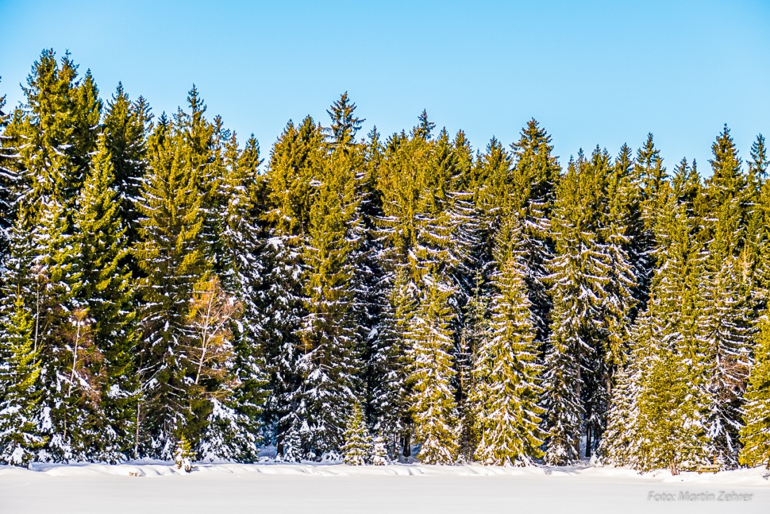 Foto: Martin Zehrer - Der Blick über den gefrorenen Fichtelsee am 20. Januar 2017 