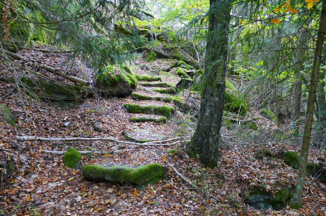 Foto: Martin Zehrer - Wandern im Steinwald<br />
<br />
Verwunschene Ecken und versteckte Treppen sind im Steinwand zu finden... 