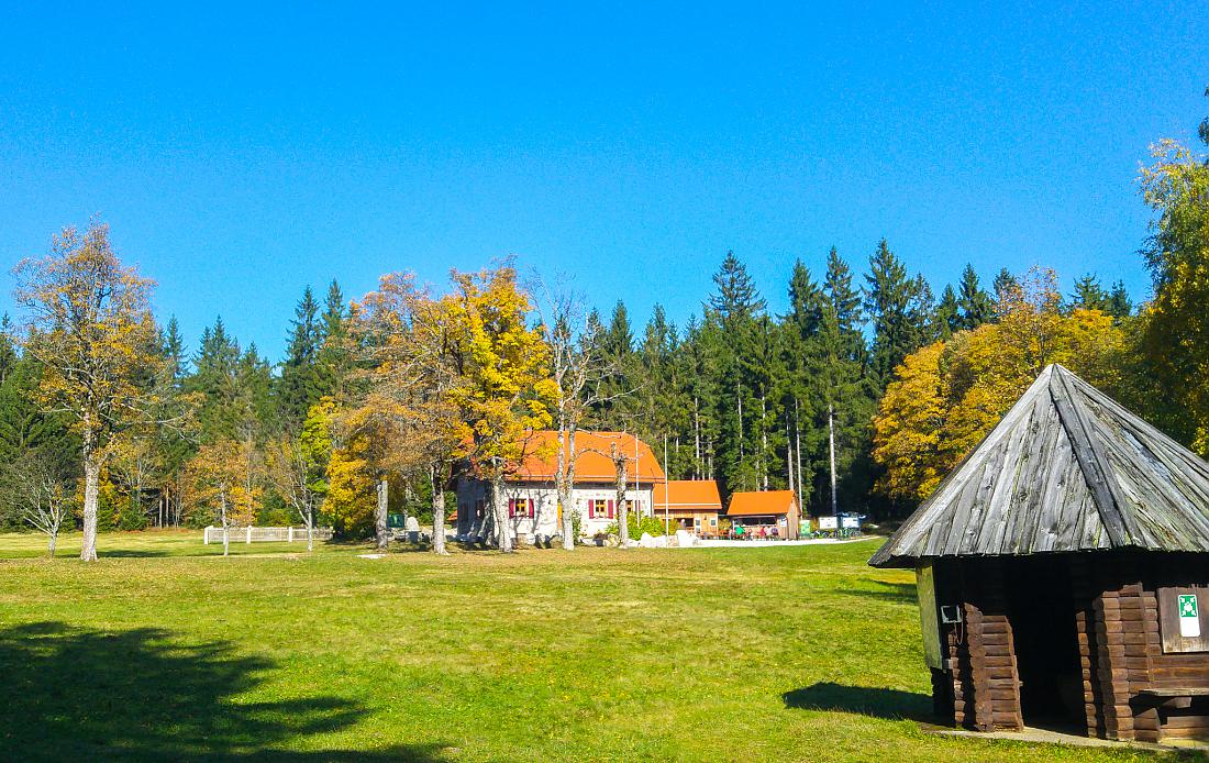 Foto: Martin Zehrer - Vormittags-Wanderung in den Steinwald. Der goldene Herbst ist mit ca. 22 Grad Temperatur, blauem Himmel und kräftigen Sonnenschein zurück...<br />
<br />
13.10.2019 