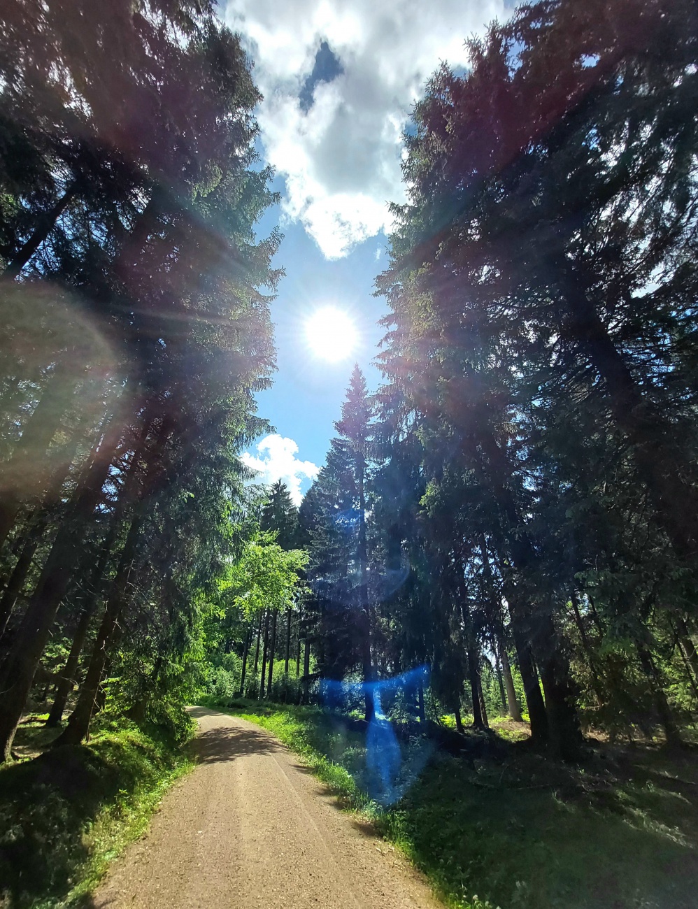 Foto: Martin Zehrer - Ein Sinnes-Marathon für Körper und Geist.<br />
<br />
Unterwegs im Wald, in der Nähe des Wildgeheges Mehlmeisel... 