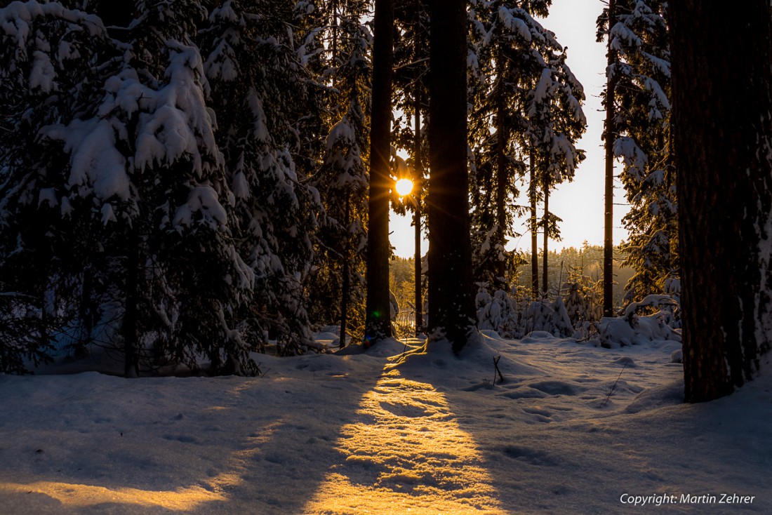 Foto: Martin Zehrer - Licht-Laune... 