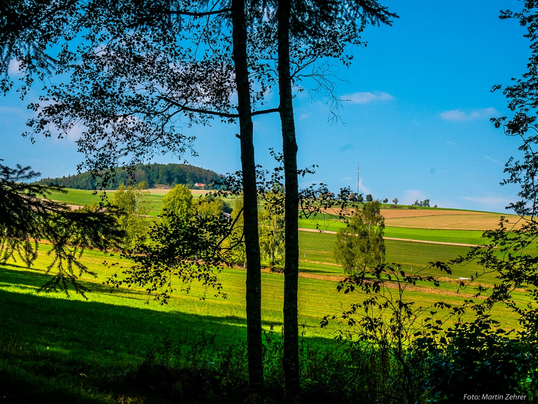 Foto: Martin Zehrer - Der Wald um Godas, gegenüber der Armesberg, hinter mir der Steinwald! 