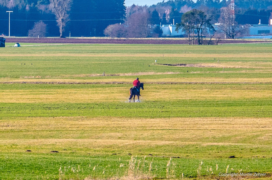 Foto: Martin Zehrer - Reiter oder Reiterin? reitet durch die Auen bei Guttenthau :-) 