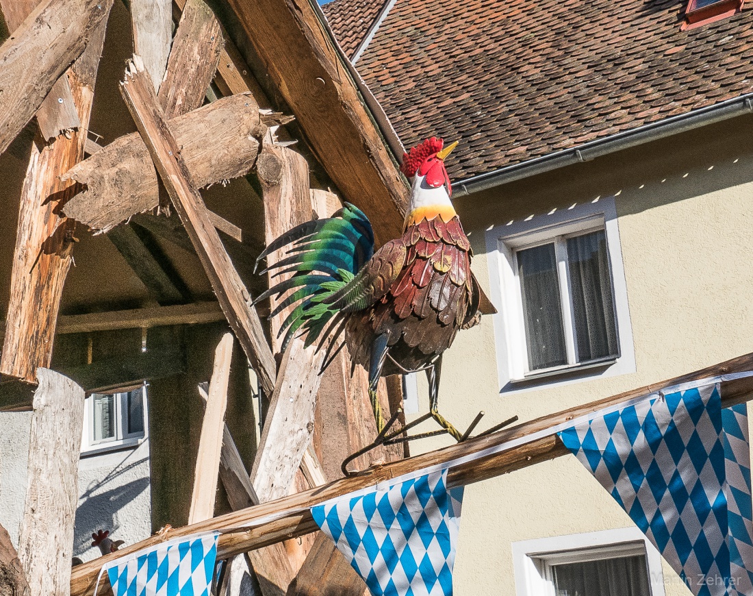 Faschingszug durch Waldeck 2026 - WCV Helau!!!

Am 15. Februar 2026 war es wieder soweit. Tausende Besucher jubelten den Narren zu, das Wetter wurde wie bestellt, wunderschön. Die Sonne strahlte und alle Menschen waren voller Faschings-Laune. WCV Helau!!!!
