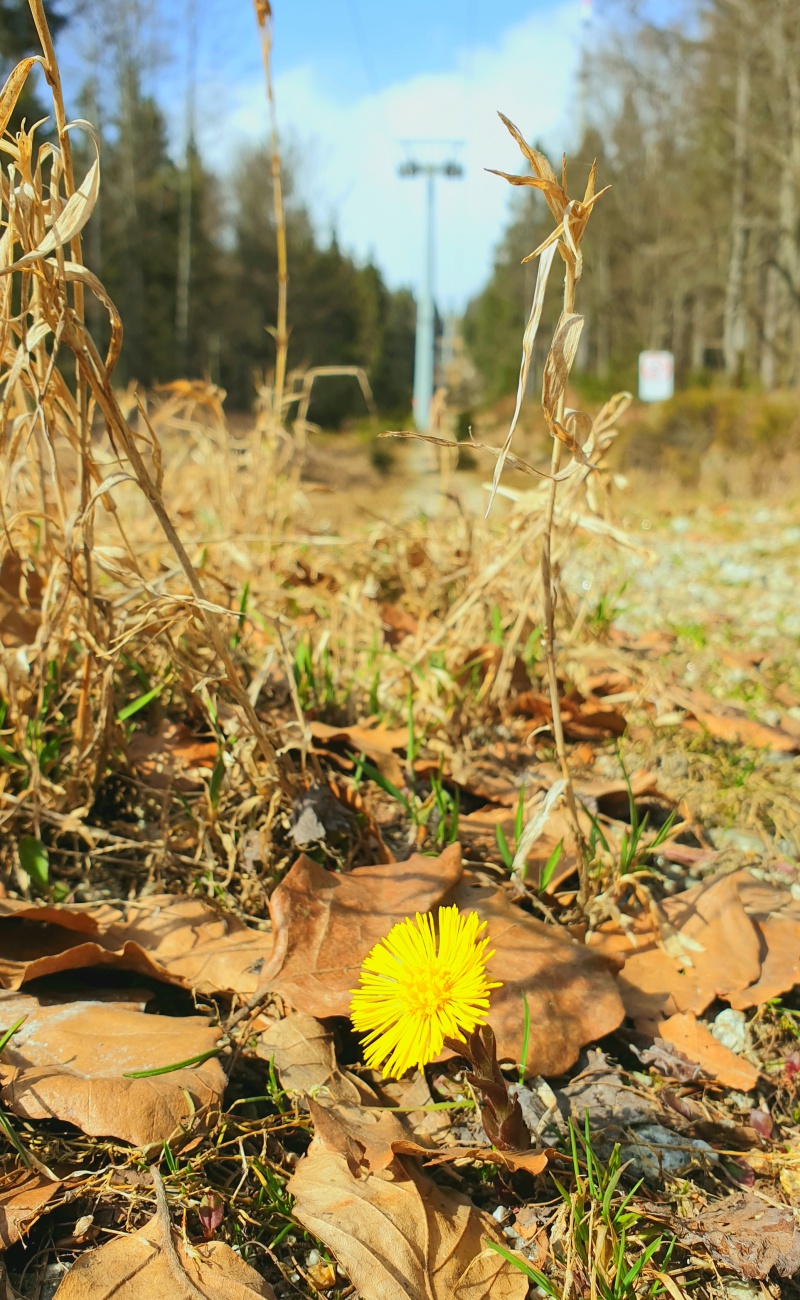 Foto: Martin Zehrer - Gefunden beim Wandern auf dem Ochsenkopf...<br />
<br />
Wunderschönes Wetter, Sonne, 20 Grad im Schatten, die Natur erwacht...<br />
<br />
1. April 2021 