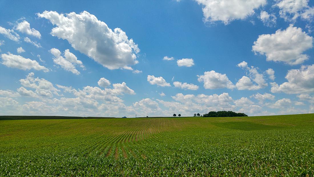 Foto: Martin Zehrer - Wetter bei Berndorf, am 18. Juni 2019 um 12:00Uhr<br />
<br />
Unterwegs mit dem Bike...<br />
<br />
Kleine Wolken am Himmel, überwiegend sonnig, ca. 27 Grad, leichtes Lüftchen entschärft d 