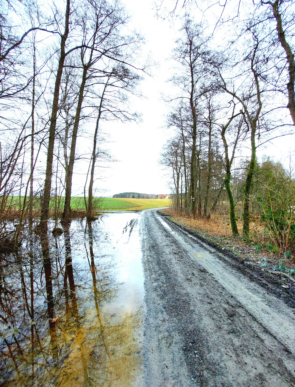 Foto: Martin Zehrer - Sonntags-Wandern am Anzenstein... :-) 