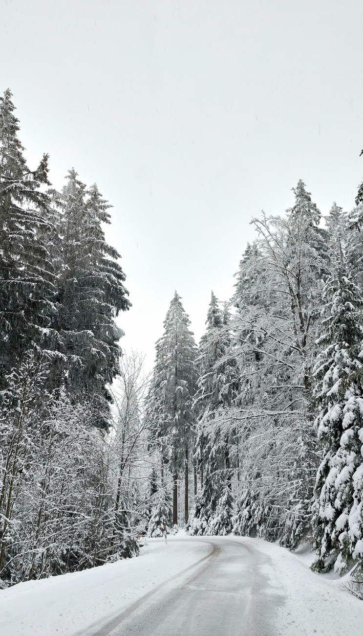 Foto: Martin Zehrer - Winter in Mehlmeisel..  