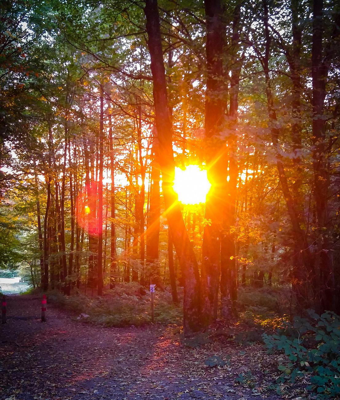 Foto: Martin Zehrer - Rauher-Kulm: Wandern im Sonnenuntergang... 