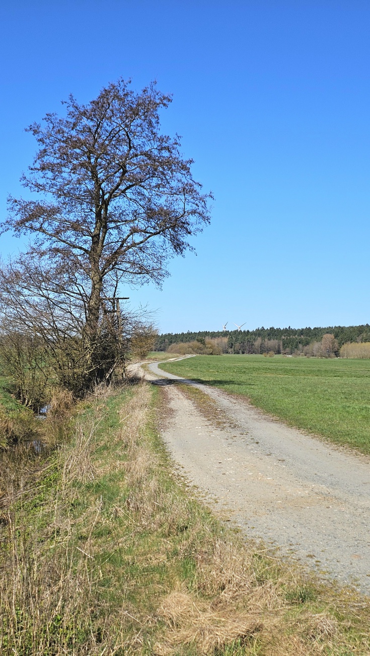 Herrliche Weiten in der Au bei Guttenthau.