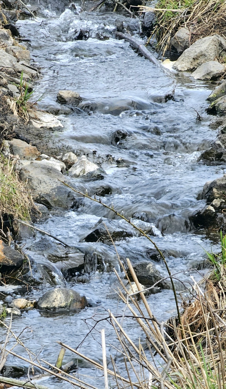 Ein Bächlein in Kemmath...