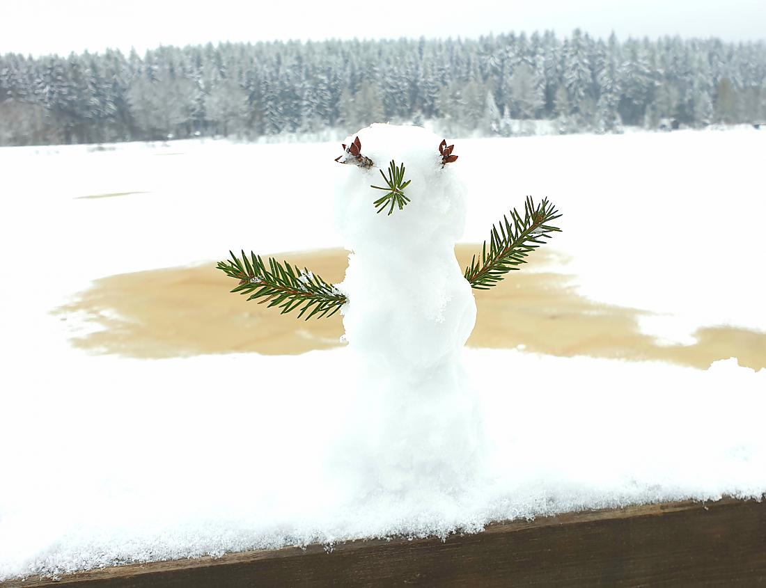 Foto: Martin Zehrer - Jennys Schnee-Männchen am Fichtelsee :-)<br />
<br />
8. Januar 2021 