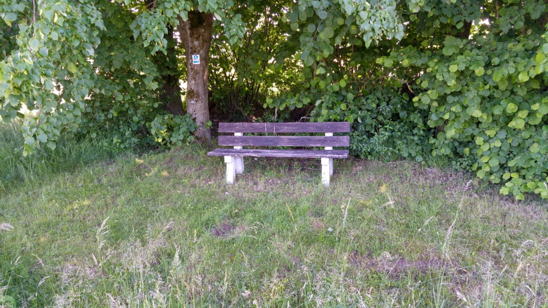 Foto: Martin Zehrer - Am Wegesrand zwischen Berndorf und Immenreuth. Gepflegt und gemäht läd diese Bank zum ruhen ein... 