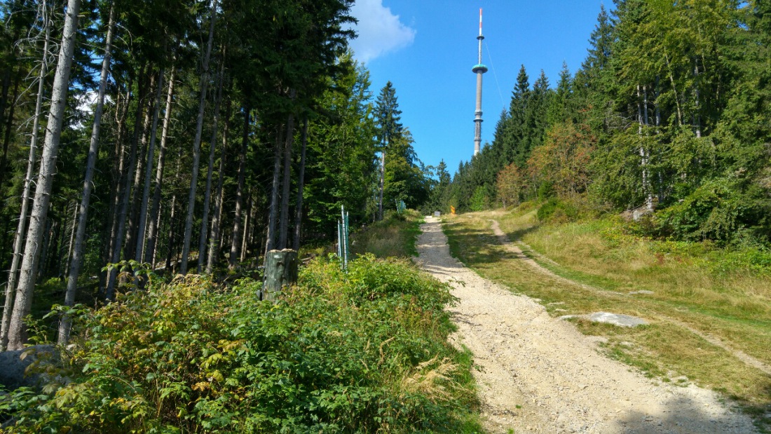 Foto: Martin Zehrer - E-biken am Ochsenkopf - hier kann man gemütlich runter fahren ;-) 