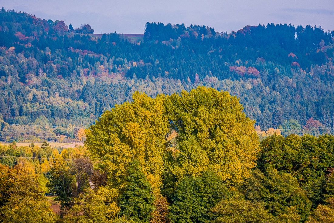 Foto: Martin Zehrer - Herbst-Pracht bei Eisersdorf 