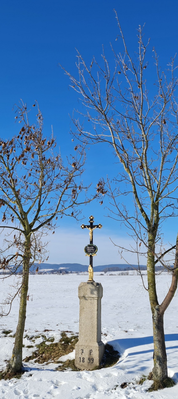 Foto: Jennifer Müller - Valentinstag 2021... Schöner könnte das Wetter nicht sein! Unterwegs zwischen Kulmain und Altensteinreuth... Sonne, ca. -3 Grad und nahezu windstill... Ein Traum! 