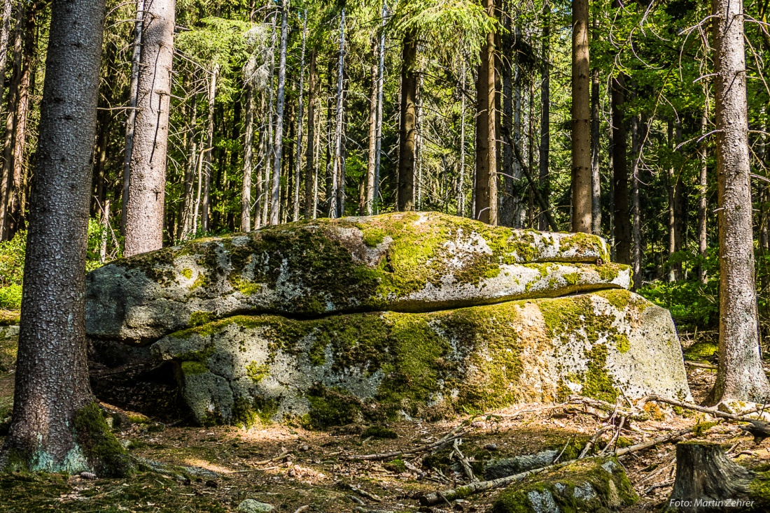 Foto: Martin Zehrer - Warum heißt der Steinwald wohl Steinwald? ;-)<br />
Dieser riesige Stein liegt unter vielen kleineren im Steinwald neben einem Wander-Pfad...<br />
<br />
Ziel ist eine Wanderung zum Ob 