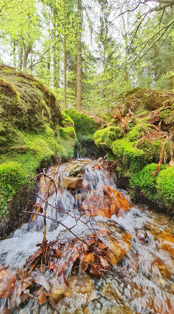 Foto: Jennifer Müller - Ein Wasserfällchen ;-) auf dem Weg zum Seehaus... 