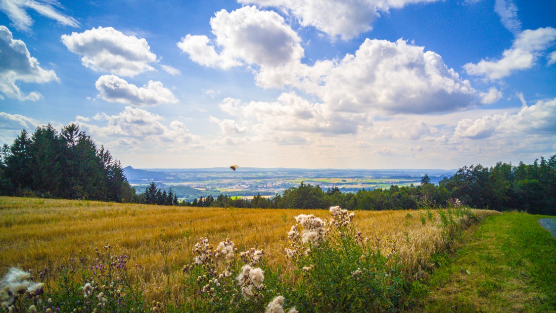 Foto: Martin Zehrer - Blick vom Armesberg aus ins kemnather Land...<br />
Flog mir doch eine Fliege ins Bild ;-) 