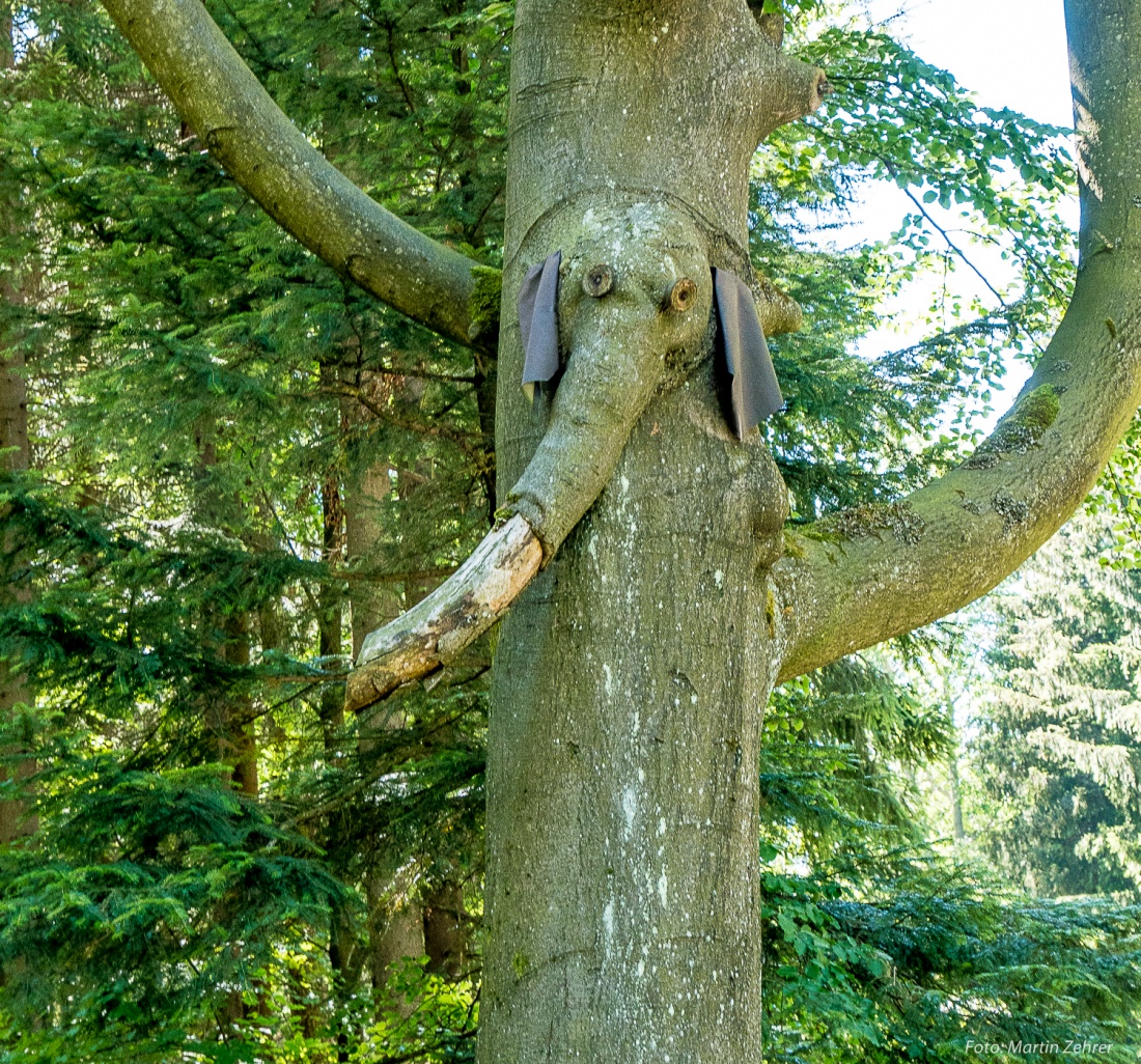 Foto: Martin Zehrer - Radtour von Kemnath nach Waldershof, quer durch den Kösseine-Wald...<br />
<br />
Ein Elefant am Straßenrand... Gesehen zwischen Schurbach und Waldershof, unterhalb der Kösseine. K 