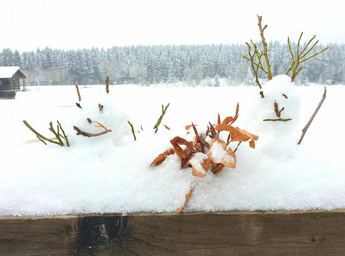 Foto: Martin Zehrer - Schneemänner auf einem Holzgeländer am Fichtelsee..<br />
<br />
8. Januar 2021 