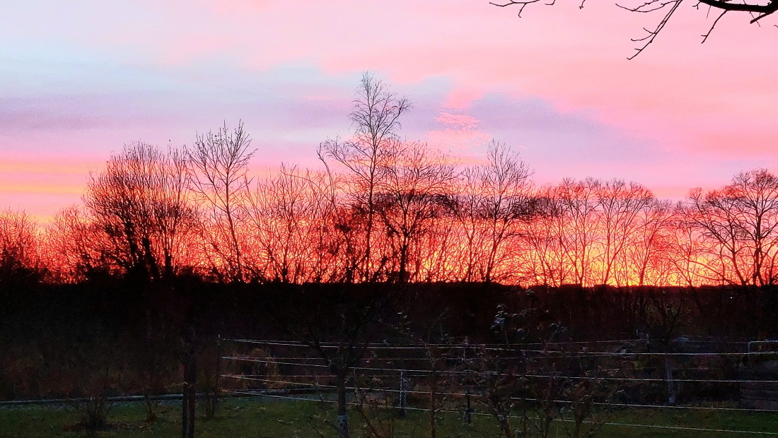 Foto: Martin Zehrer - Abendrot in Eschenbach.  