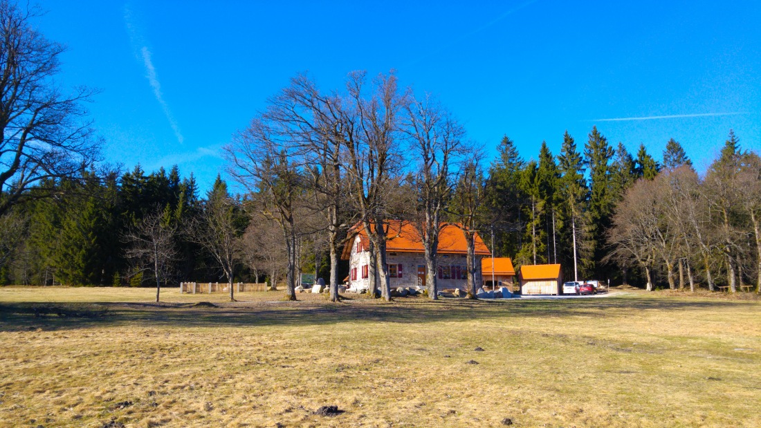 Foto: Martin Zehrer - Das Waldhaus in Sichtweite... Hunger! 