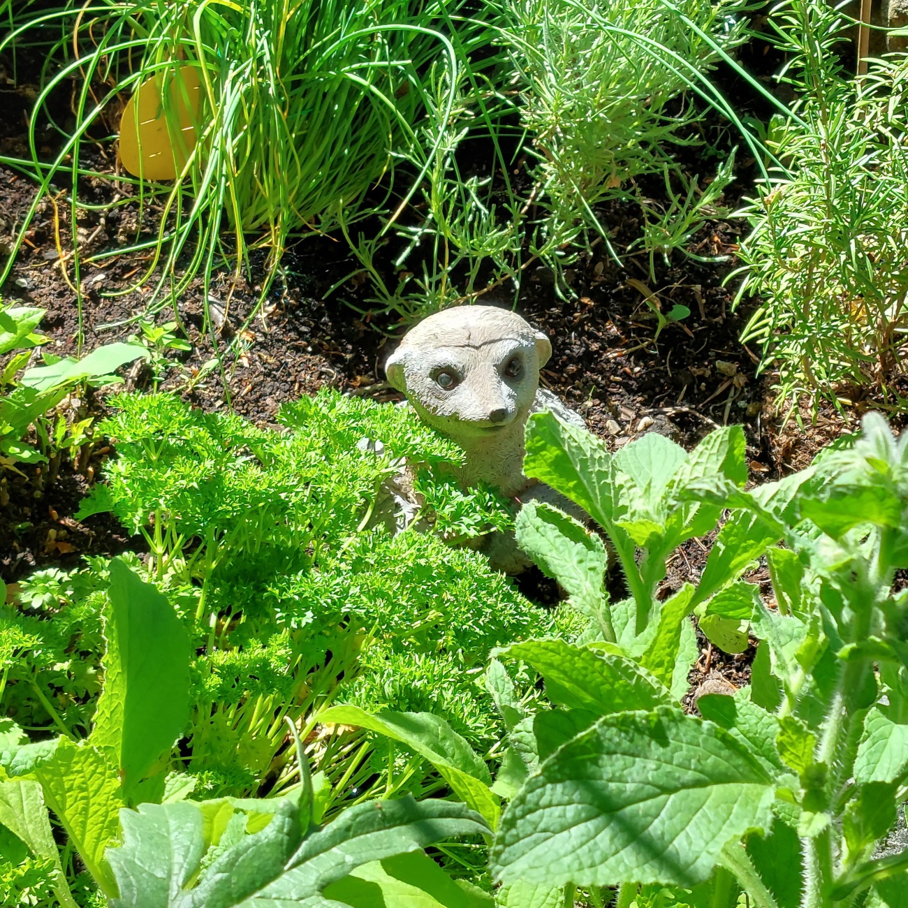 Foto: Martin Zehrer - Tag der offenen Gartentür in Neusorg...<br />
<br />
Auf Entdeckungsreise im wunderschönen Garten-Paradies der Familie Gerhardinger-Dauber... 