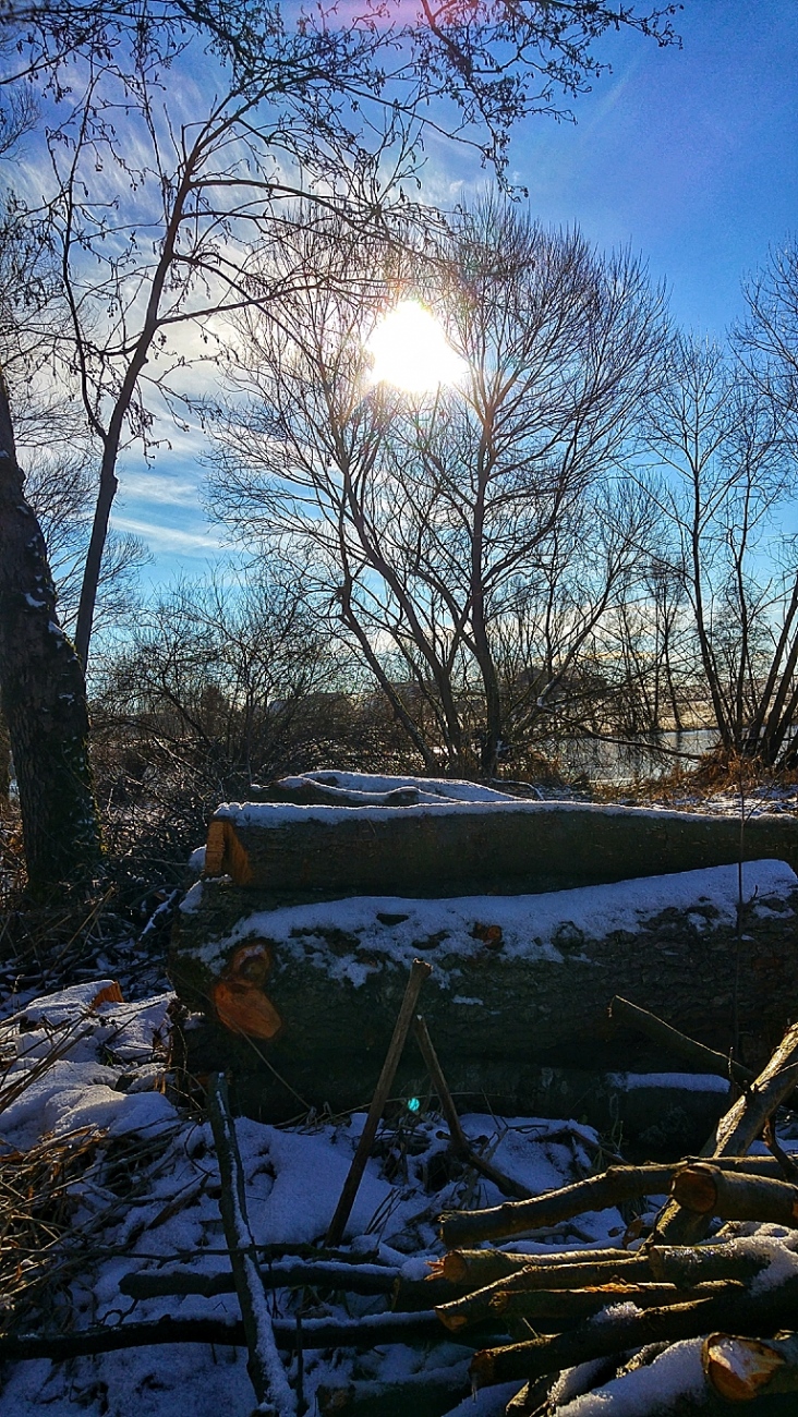 Foto: Martin Zehrer - Herrrrrrllliiiichhh! ;-)<br />
<br />
Am kulmainer Stausee... Die vergangene Nacht hatte es ca. minus 8 Grad, das Wetter heute ist gigantisch. <br />
Wer hier her kommt, erlebt ein klei 