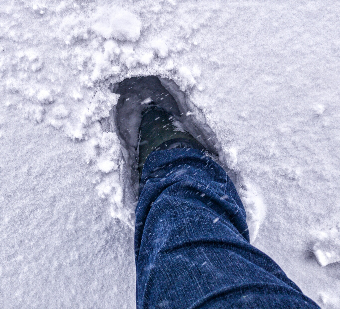 Foto: Martin Zehrer - Ganz schön viel Schnee am Armes droben! <br />
<br />
3. Februar 2019 