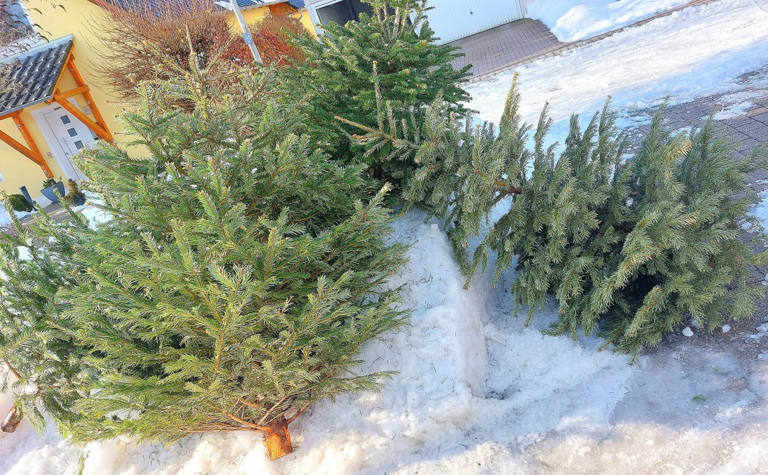 Christbaum-Abholung in Kemnath. 
Weihnachten ist vorbei, zum 16. Januar sollten die Christbäume dann abgeholt werden.
Ein toller Service durch die Stadt Kemnath. 