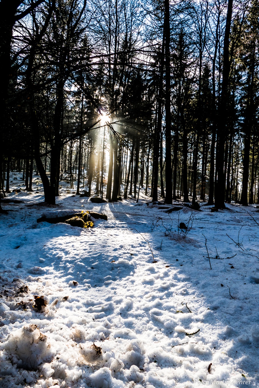 Foto: Martin Zehrer - Immer wieder blinzelte die Sonne durch die Bäume... <br />
<br />
Winterwanderung durch den Steinwald! 