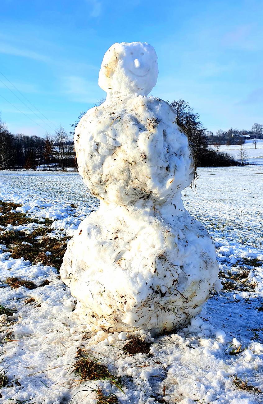 Foto: Martin Zehrer - Dieser Schneemann wurde am 31. Dezember 2020 an der Ortseinfahrt zu Kirchenpingarten gesehen. 