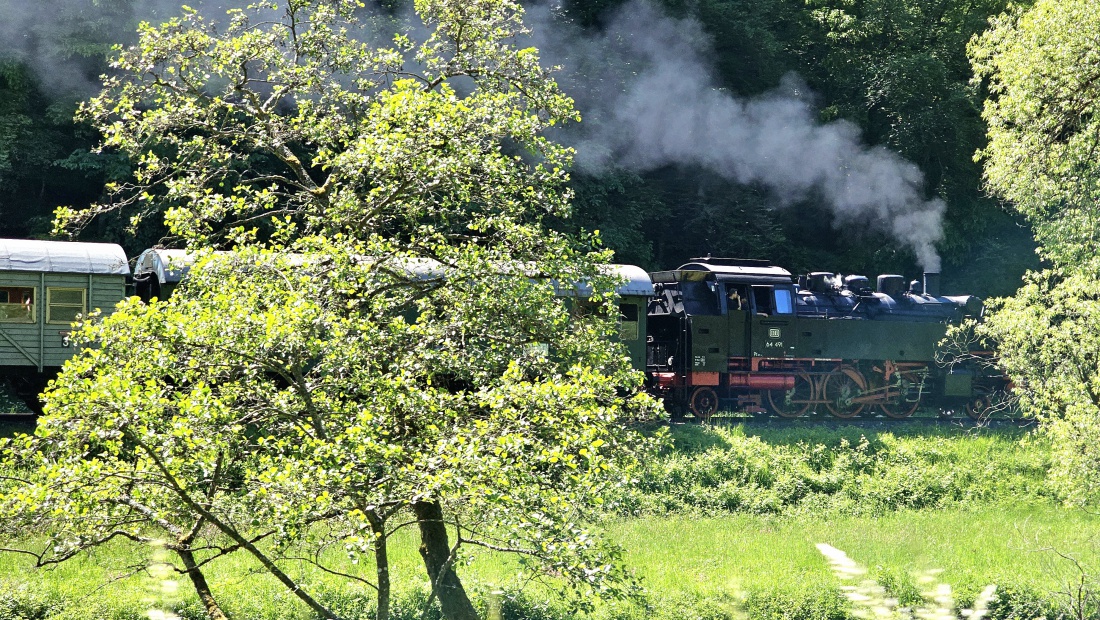 Zufällig erwischt: Eine Dampflock zieht am Pfingst-Montag durch die Fränkische Schweiz.