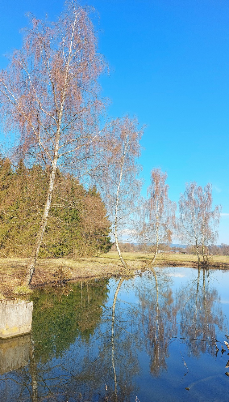 Frühlings-Spiegeleien...